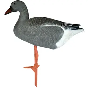 Balabán Bean Goose husa siatinná stojatá
