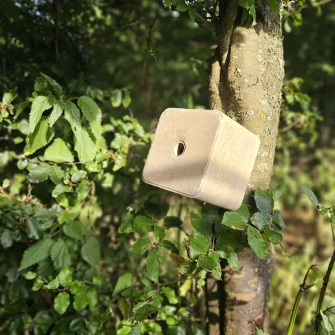 Minerální solná kostka TETRAO 10 kg Forest
