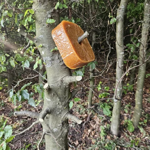 Lesní lízátko TETRAO s příchutí kukuřice – 2kg
