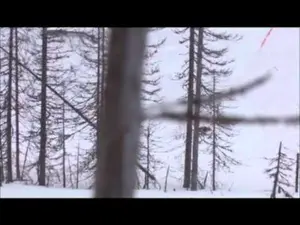 Nordik Predator-Mini Predator, vábnička na lišku — obrázek 2